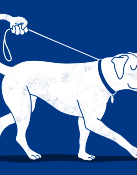 No Worries, I'll Just Walk Myself... Hero Shot