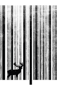 To Scan a Forest: Lightweight Tote