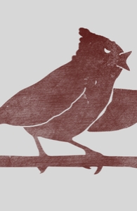 The Bird is the F-Word