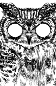 Owltical Illusion