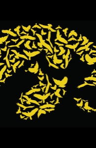 Birds of Prey: University of Iowa College Winner