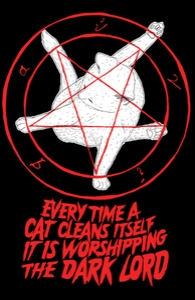EVERY TIME A CAT CLEANS ITSELF IT IS WORSHIPPING THE DARK LORD 