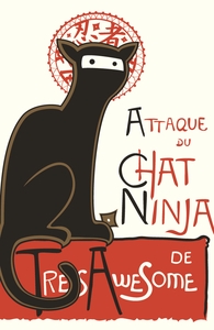 A French Ninja Cat!