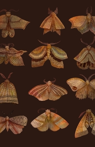 Moth Collector, David's Designs + Threadless Collection