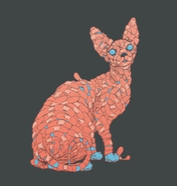 W T F t-shirt design