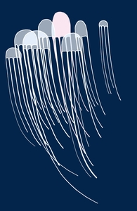 Jellyfish Killed My Wife: Select Threadless Dolman Dress, Best Selling Select + Threadless Collection