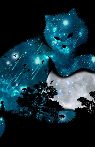 I Can Haz, Budi's Designs + Threadless Collection