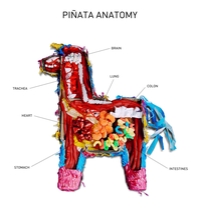 Pinata Anatomy t-shirt design