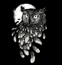 Vanishing in the Night t-shirt design