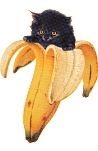Banana Kitty