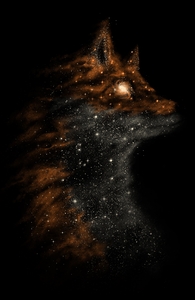 Star Fox
