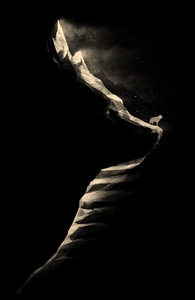 The Mountain Wolf