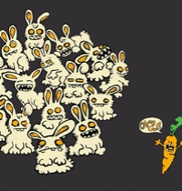 Bunnies t-shirt design
