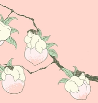 Chinese Peaches t-shirt design