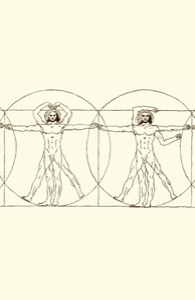 Vitruvian Y.M.C.A.