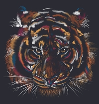 Wild Tiger t-shirt design