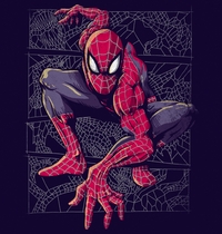 Spider Web t-shirt design