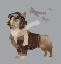 Defenders of the Sky t-shirt design