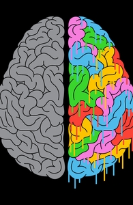 A Brain of Two Halves
