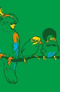 Exotica