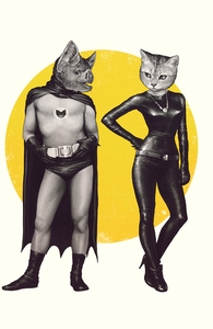 A Bat and a Cat