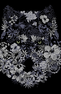 Lupus Herbaceous