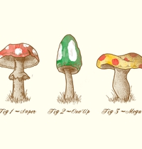 Mario Mycology t-shirt design