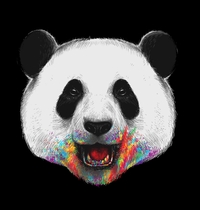 Where is the Rainbow t-shirt design