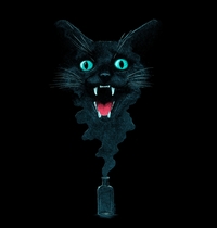 Black Cat Magic t-shirt design