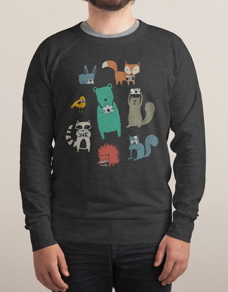 Wildlife Observation Hero Shot