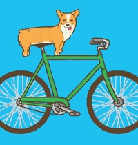 Corgi on a Bike t-shirt design