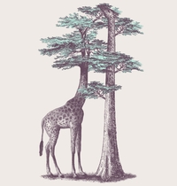 Fata Morgana t-shirt design