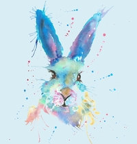 Mr Bunny t-shirt design