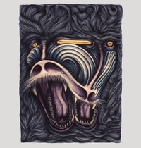Crazed Monkeys t-shirt design