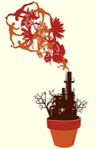Growth of Destruction
