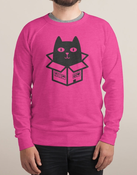 Cats Love Boxes Hero Shot