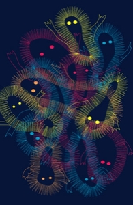 Amoeba Boogie