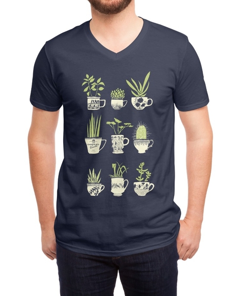 Teacup Succulents Hero Shot