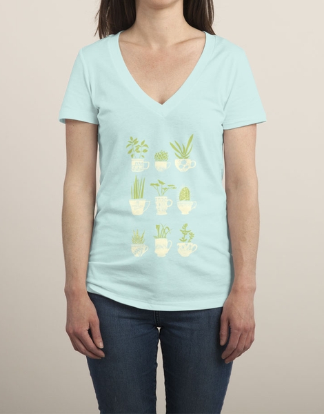 Teacup Succulents Hero Shot