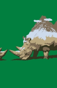Finding Rhinoceros