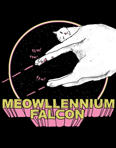 Meowllennium Falcon Hero Shot