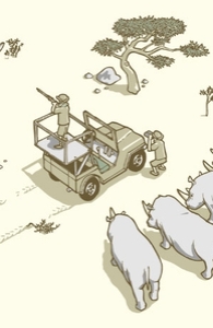 Rhinos Hunt In Packs