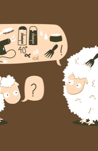 Hairstyle Secrets Of A Sheep