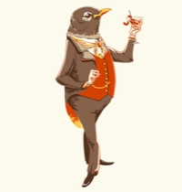 Robin Redbreast t-shirt design