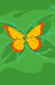 Butterfly Fish