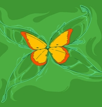 Butterfly Fish t-shirt design