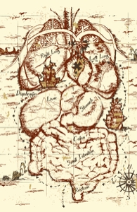 Treasure Map